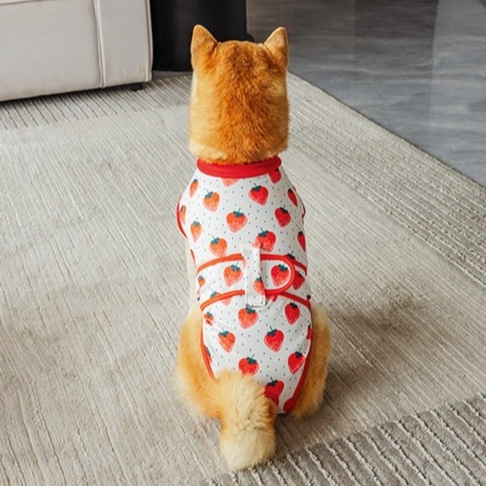 Breathable Dog Recovery Suit W – обзор и цена Dog Anxiety Vest