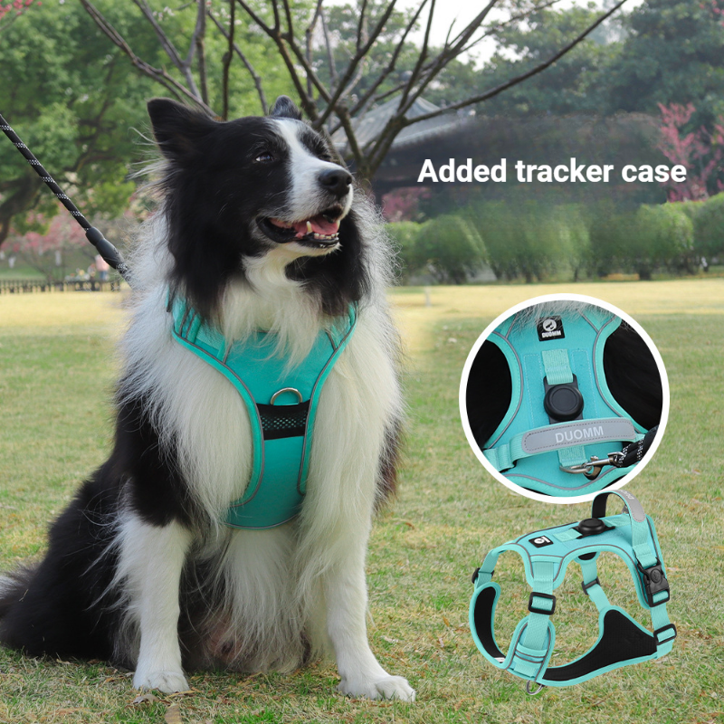 Dog Harness Collar Leash Puppy – обзор и цена Pet Supplies Locations