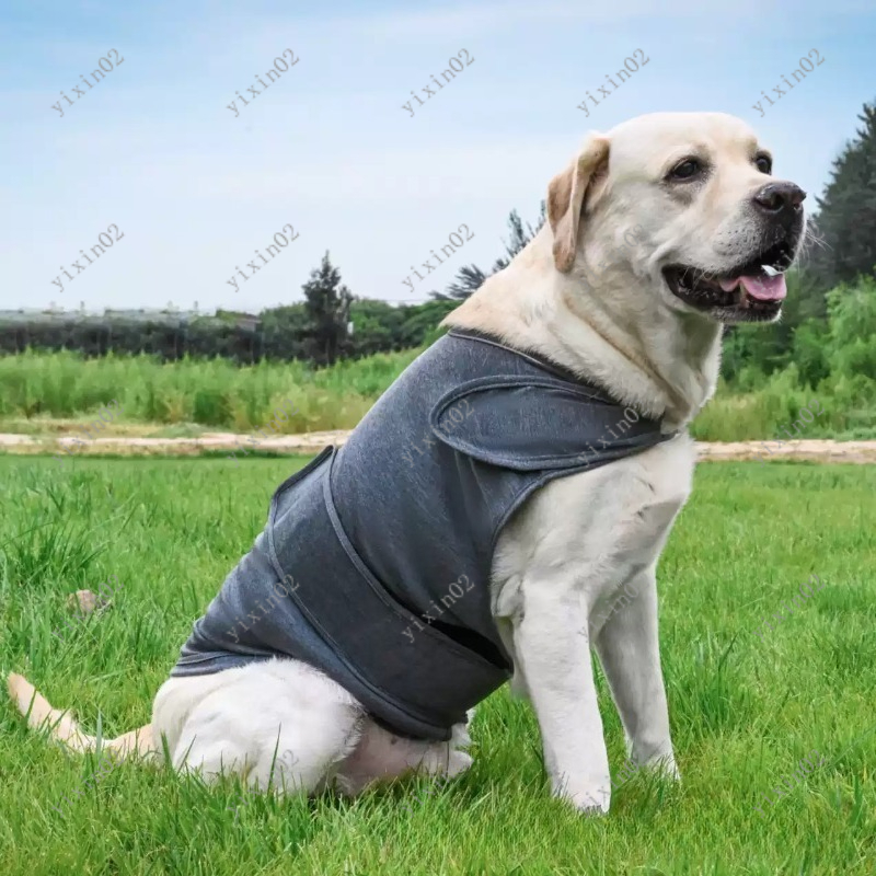 Classic Breathable Dog Anxiety – обзор и цена Dog Anxiety Vest