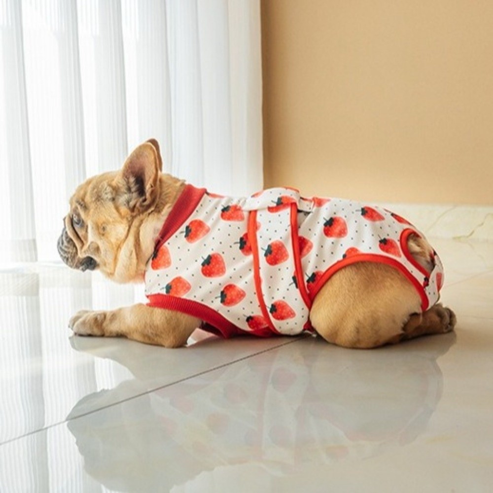 Universal Breathable Dog Recov – обзор и цена Dog Anxiety Vest