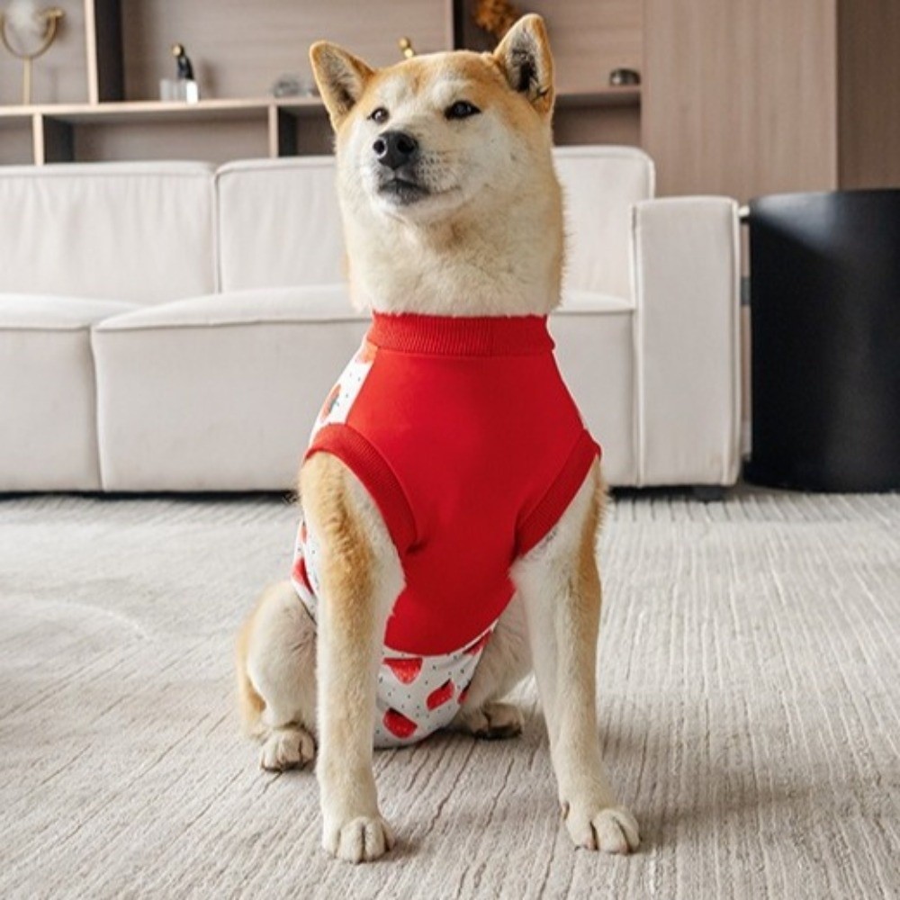Breathable Dog Recovery Suit H – обзор и цена Dog Anxiety Vest