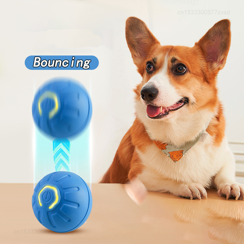 Cat Interactive Bouncing Ball  – обзор и цена Interactive Cat Toy