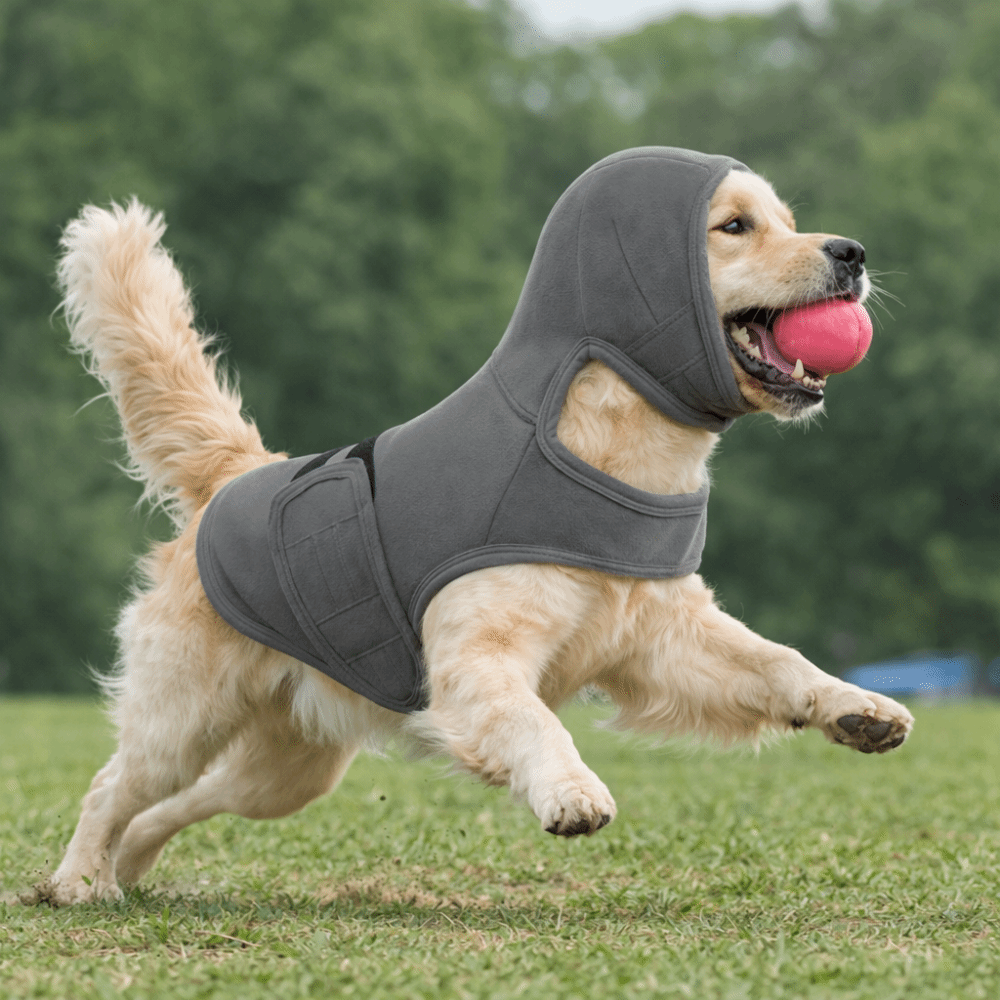 Elastic Dog Anti-Anxiety Vest  – обзор и цена Dog Anxiety Vest