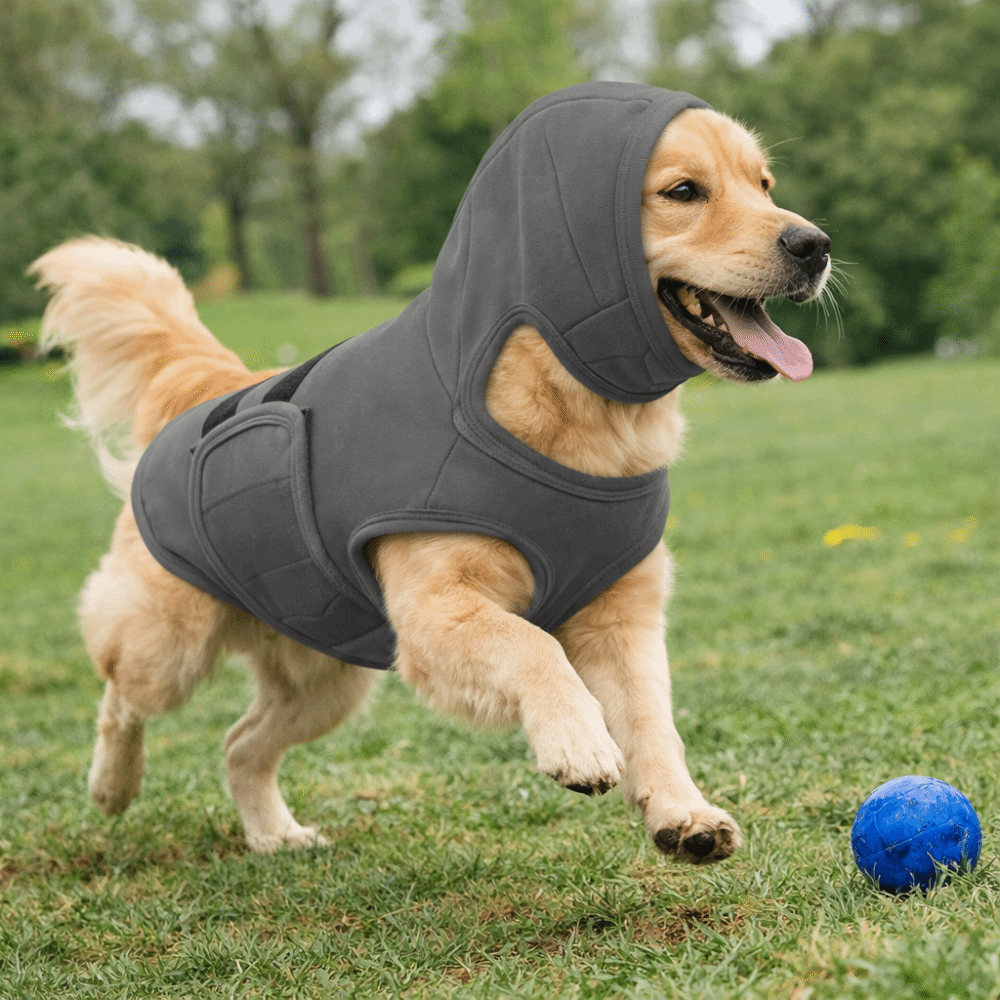 Elastic Dog Anti-Anxiety Vest  – обзор и цена Dog Anxiety Vest