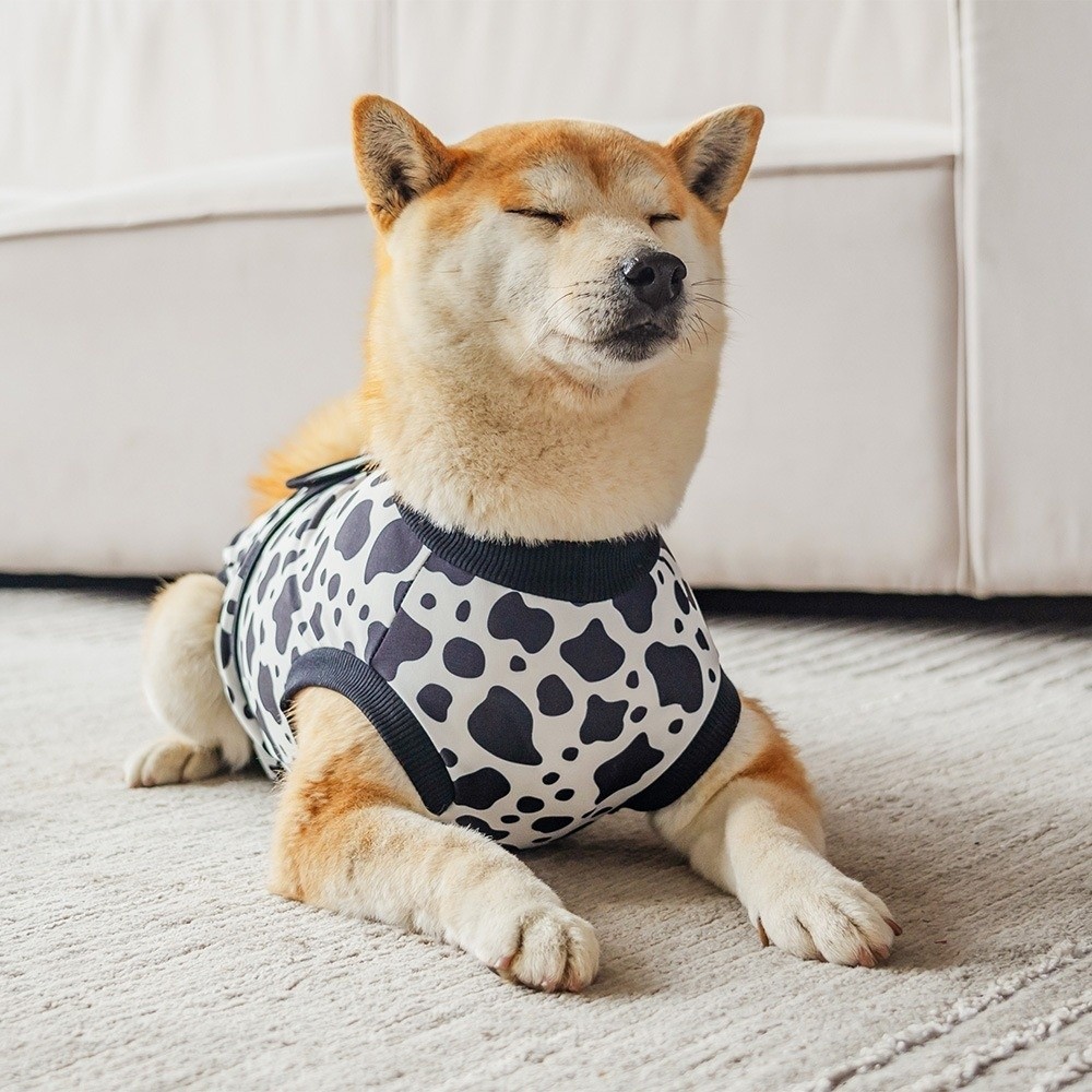 Breathable Dog Recovery Suit H – обзор и цена Dog Anxiety Vest