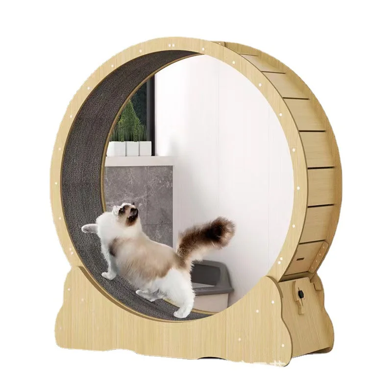 Cat fitness wheel indoor toy c – обзор и цена Interactive Cat Toy