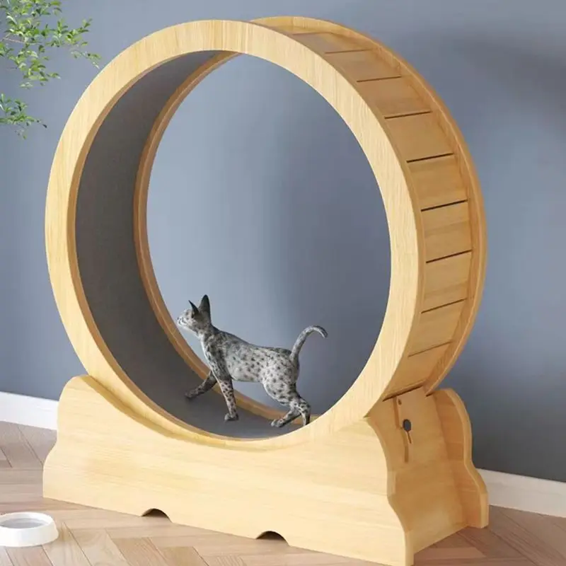 Cat fitness wheel indoor toy c – обзор и цена Interactive Cat Toy