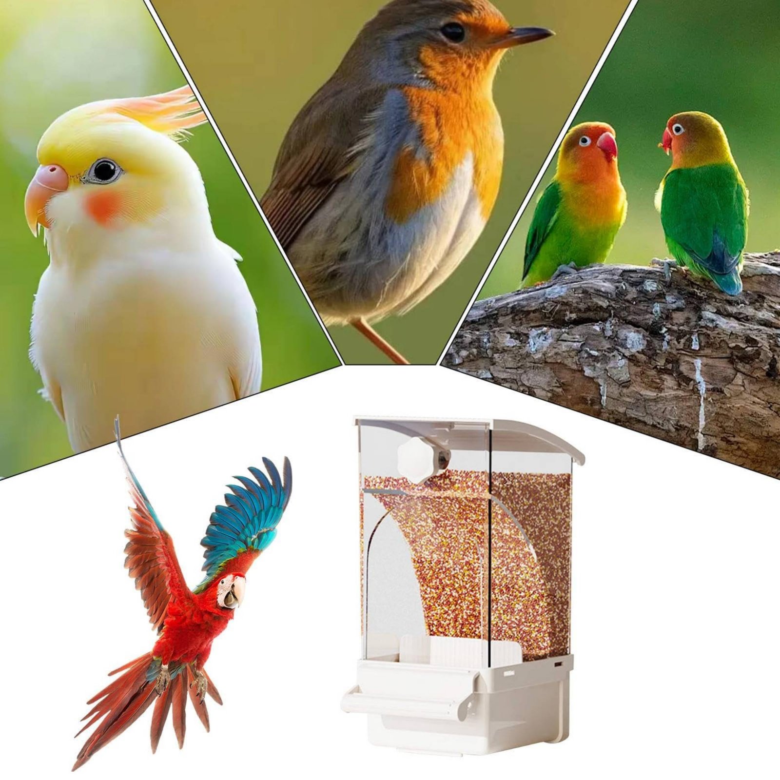 Automatic Avian Feeder Husk Se – обзор и цена Pet Supplies In
