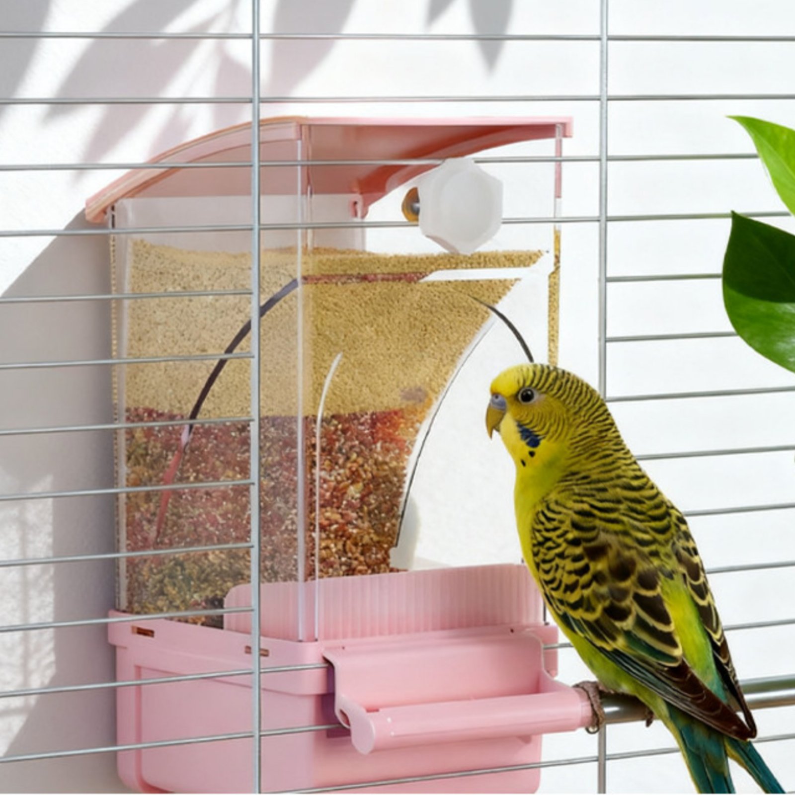Automatic Avian Feeder Husk Se – обзор и цена Pet Supplies In