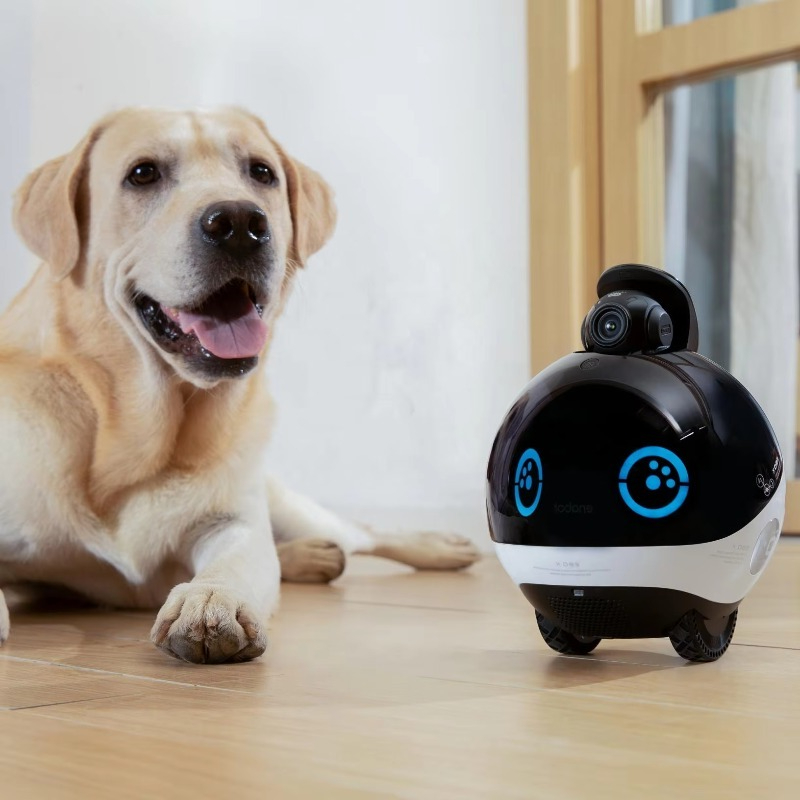 Smart Family Robot HD Monitori – обзор и цена Interactive Cat Toy