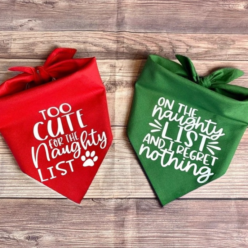 On The Naughty List Funny Band – обзор и цена Pet Supplies List