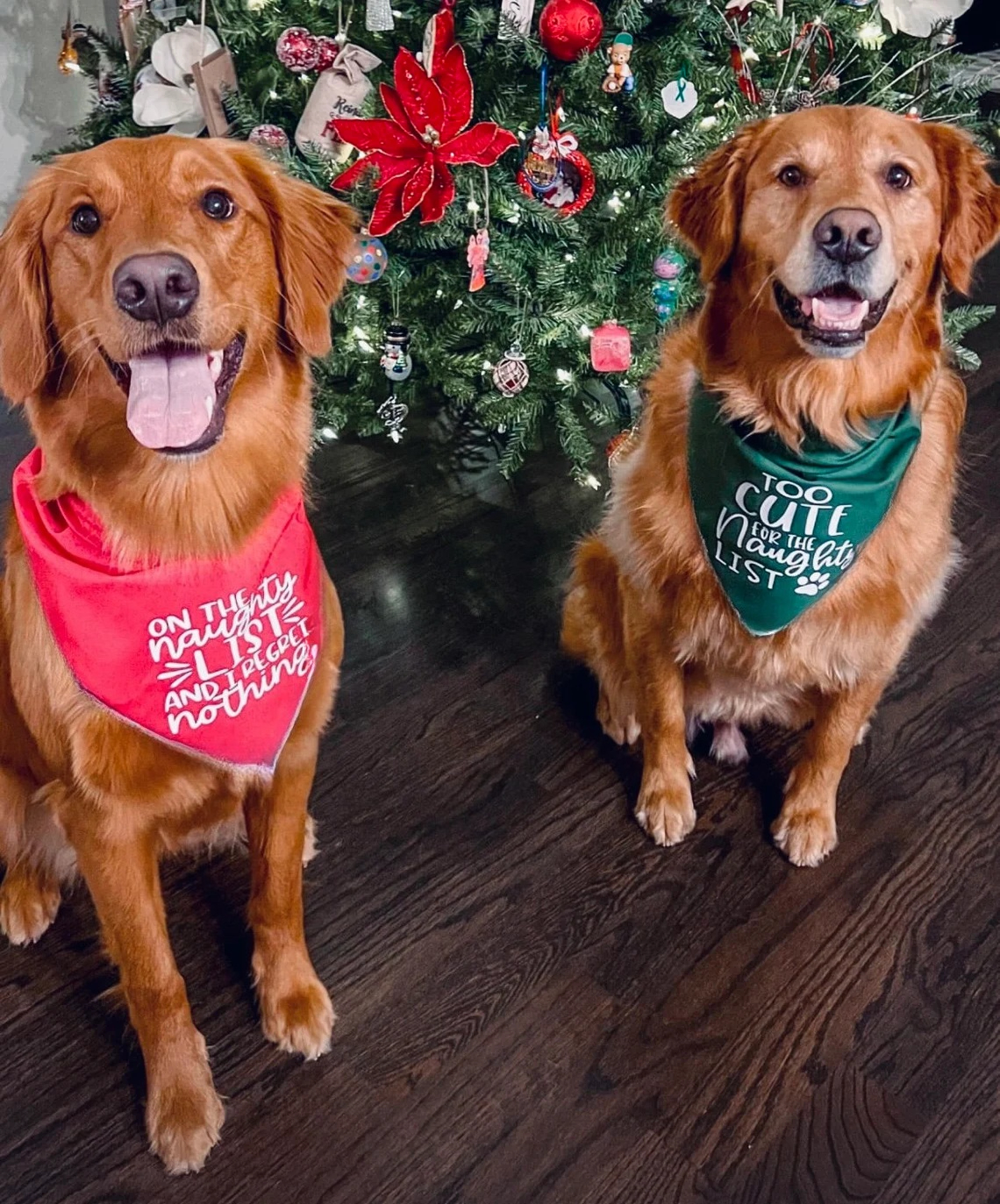 On The Naughty List Funny Band – обзор и цена Pet Supplies List