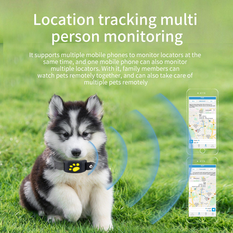 GPS Pet Tracker Beidou Positio – обзор и цена Pet Supplies Locations