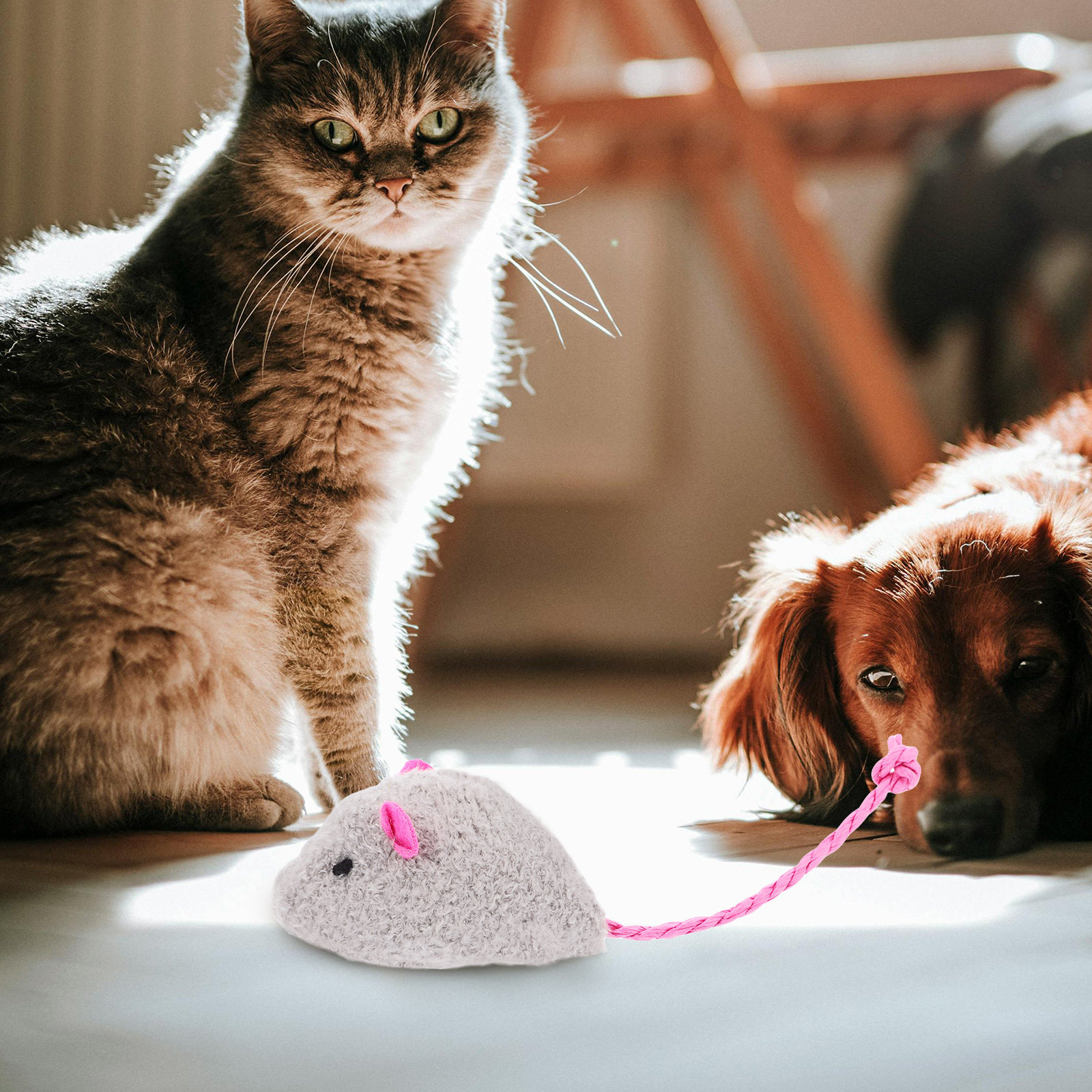 4Pcs Realistic Simulation Mous – обзор и цена Interactive Cat Toy