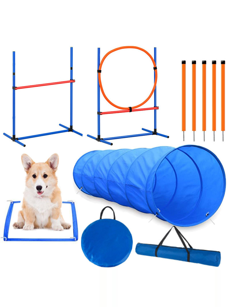Dog Obstacle Training Competit – обзор и цена Pet Supplies In