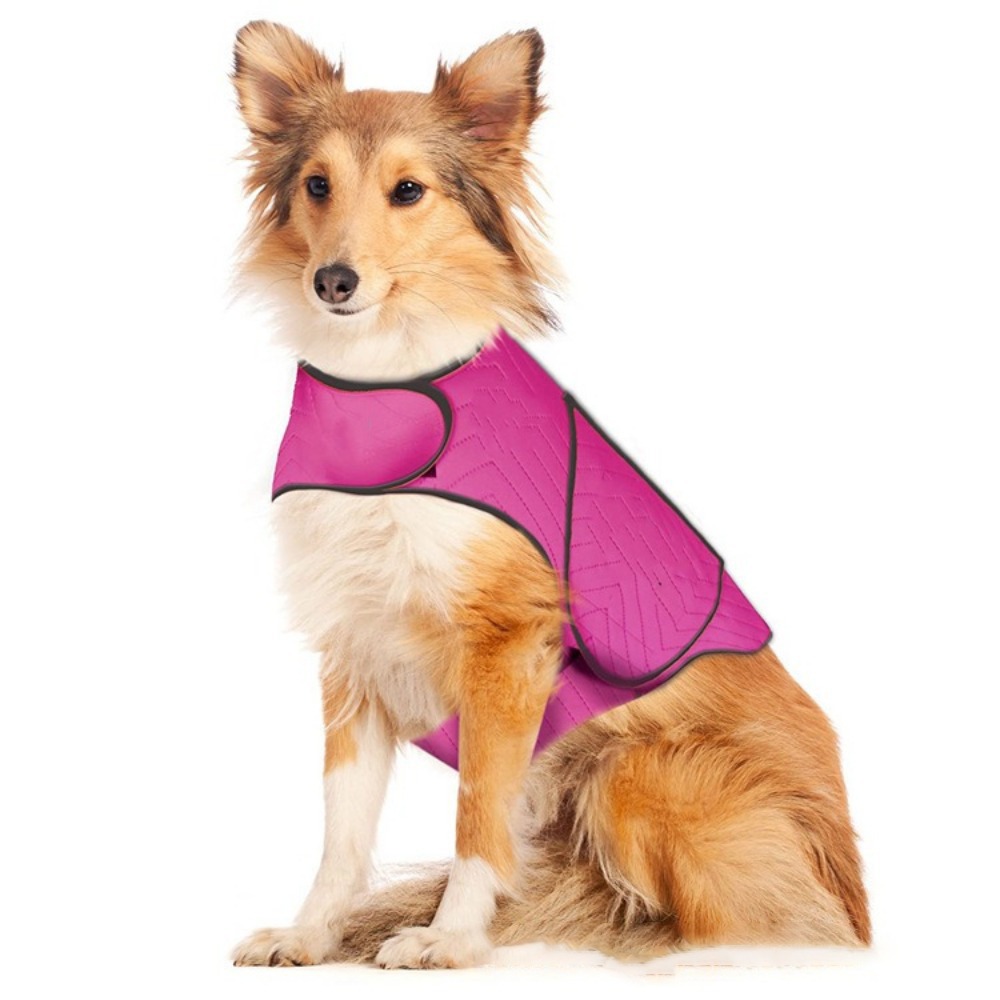 Practical Elastic Dog Anxiety  – обзор и цена Dog Anxiety Vest