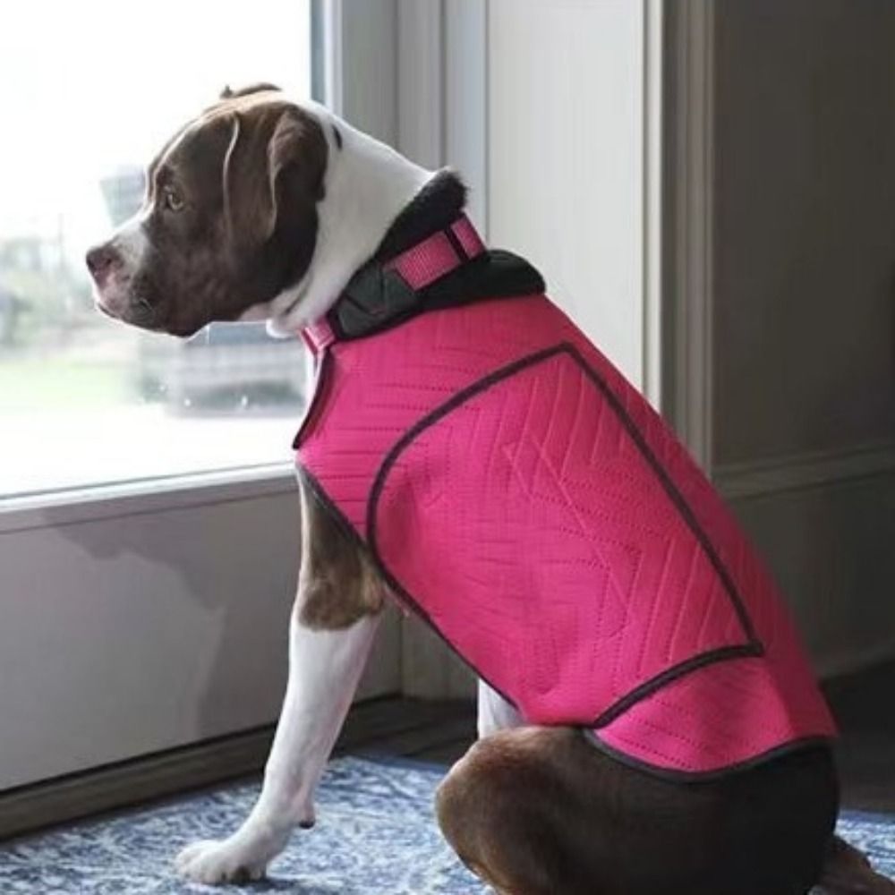 Practical Elastic Dog Anxiety  – обзор и цена Dog Anxiety Vest