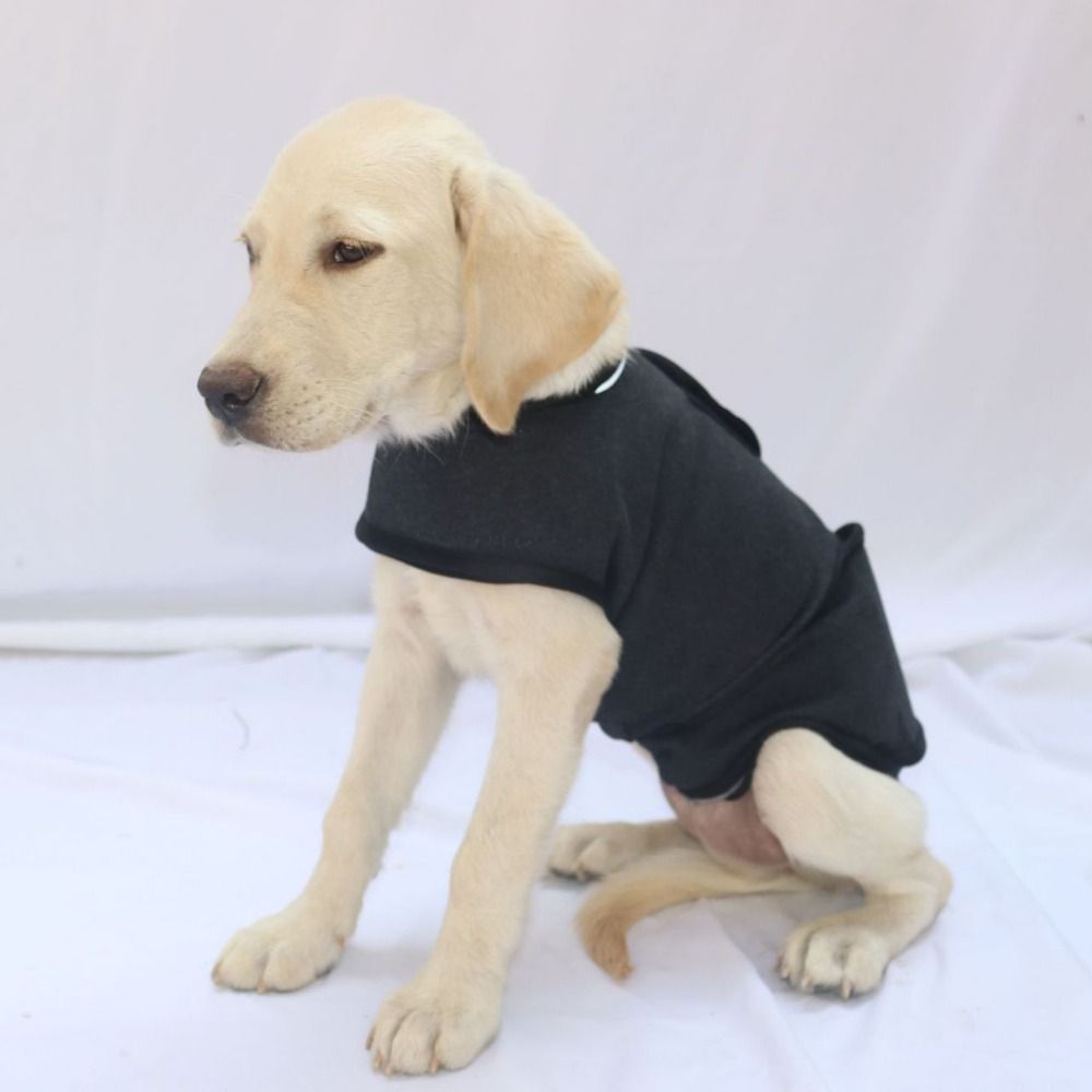 Pet Warm Vest Breathable Dog A – обзор и цена Dog Anxiety Vest