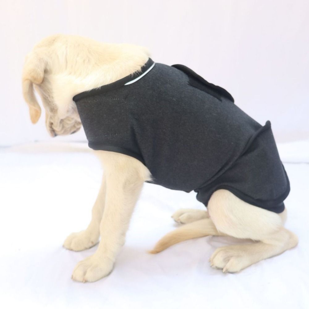 Pet Warm Vest Breathable Dog A – обзор и цена Dog Anxiety Vest