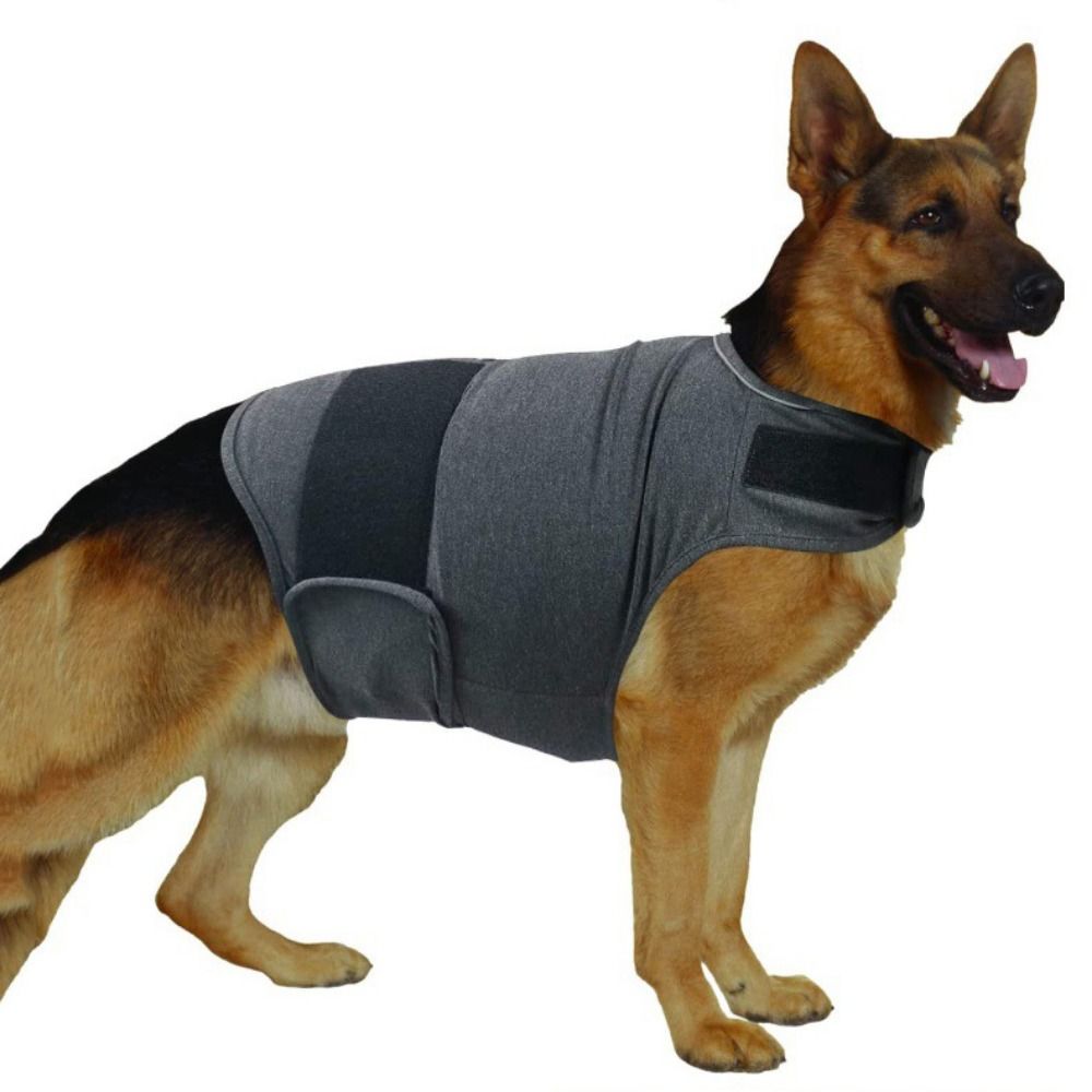 Pet Warm Vest Breathable Dog A – обзор и цена Dog Anxiety Vest