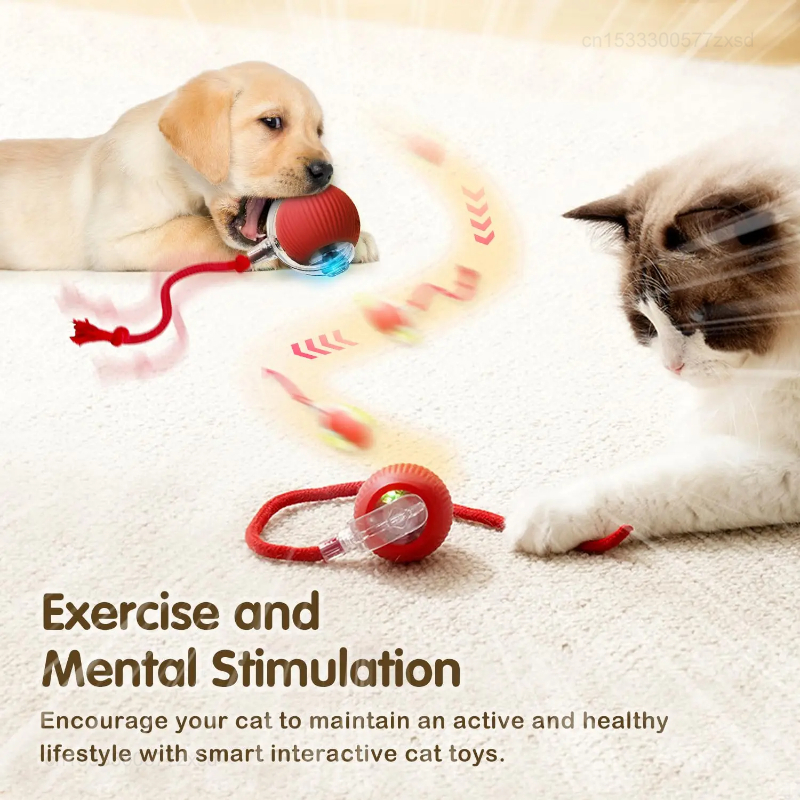 Cat Interactive Ball Toy Autom – обзор и цена Interactive Cat Toy