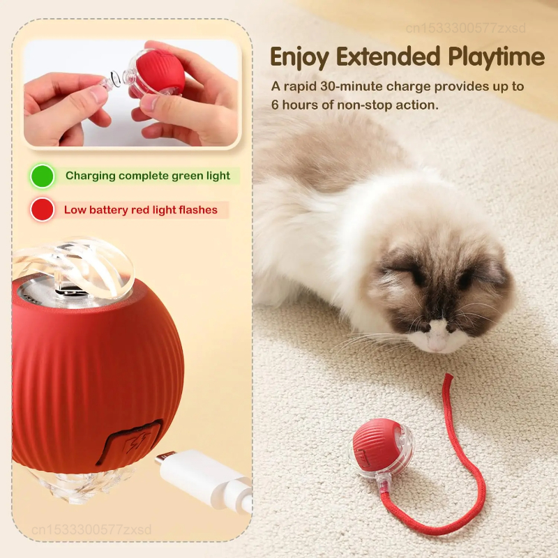 Cat Interactive Ball Toy Autom – обзор и цена Interactive Cat Toy
