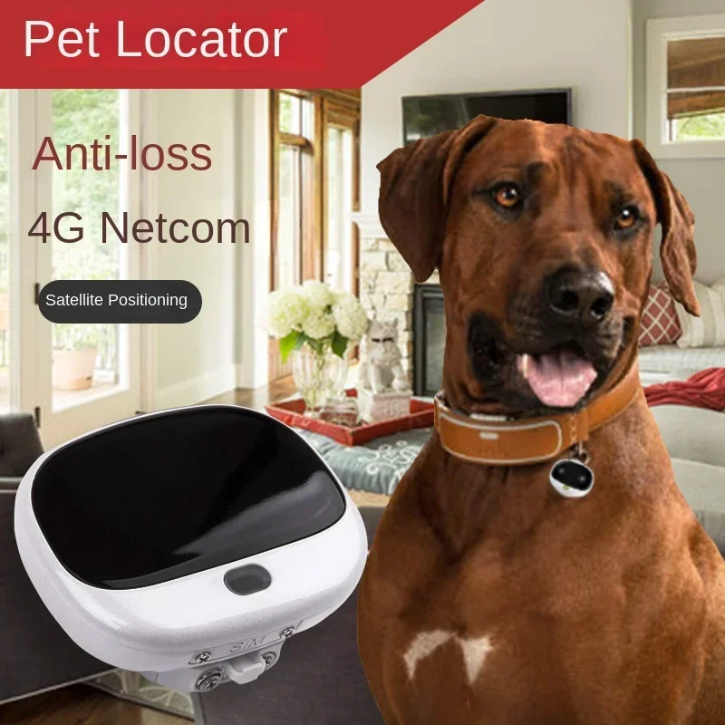Mini 4G LTE 2G GSM Dog Gps Loc – обзор и цена Pet Supplies Locations